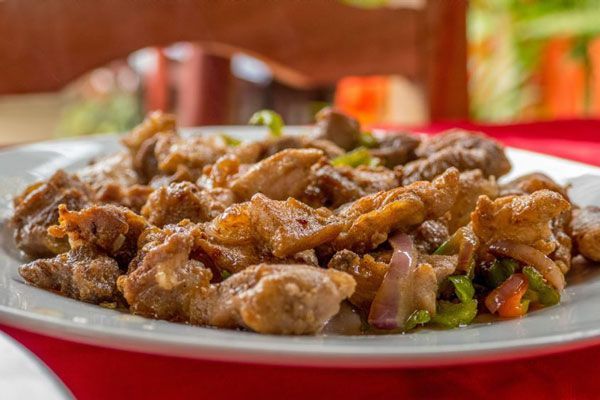 alligator-meat